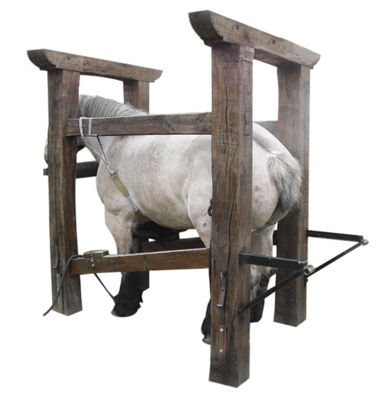 Artitec 312.022 - Shoeing stock , horse and farrier
