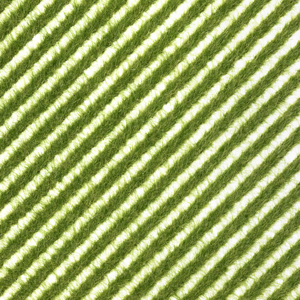 Busch 1342 - Grass Strips - Spring Grass