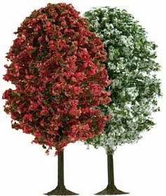 Busch 6252 - Trees blooming small   2/