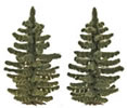 2 Spruce Trees
