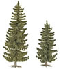 2 Spruce Trees