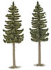 2 High-trunk Spruce Trees