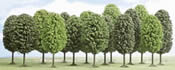 12 deciduous trees