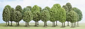 25 deciduous trees