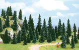 100 pine trees