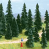 10 pine trees