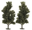 2 Poplars