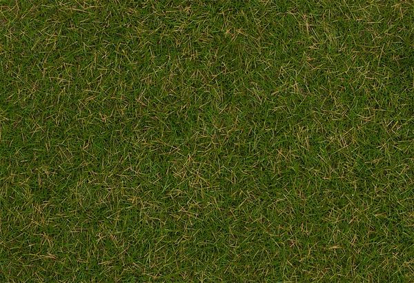 Faller 170207 - Wild grass ground cover fibres, Summer lawn, 4 mm, 30 g