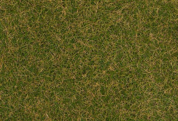 Faller 170209 - Wild grass ground cover fibres, brownish green, 4 mm, 30 g