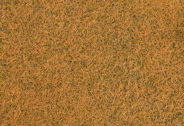 Faller 170210 - Wild grass ground cover fibres, withered, 4 mm, 30 g