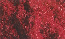 Faller 170709 - Ground cover flower red