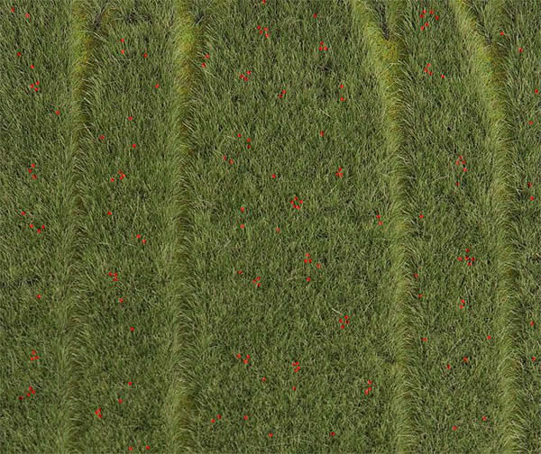 Faller 180458 - PREMIUM Landscape segment, Grain-field with poppies