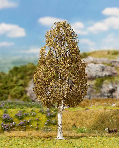 Faller 181185 - 1 PREMIUM Birch tree, large