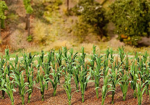 Faller 181250 - 36 Maize plants