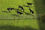 Fence systems for stalls and open stable farm, 936 mm (2 x 468 mm)