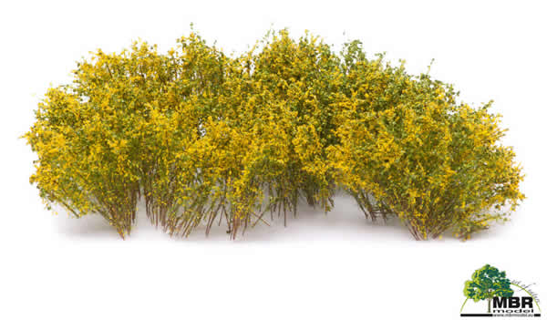 MBR 50-5003 - Shrub Blooming Yellow Flowers