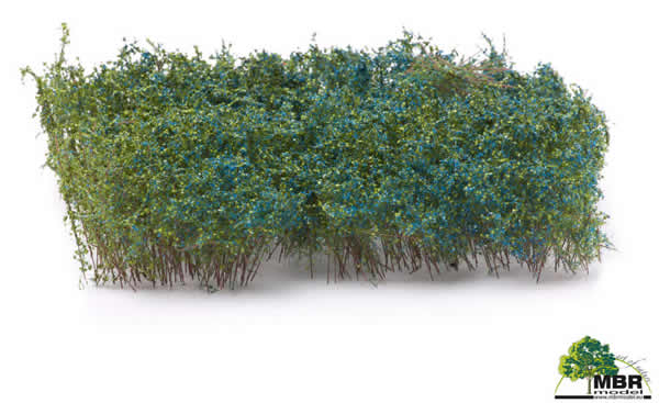 MBR 50-5005 - Shrub Blooming Blue Flowers