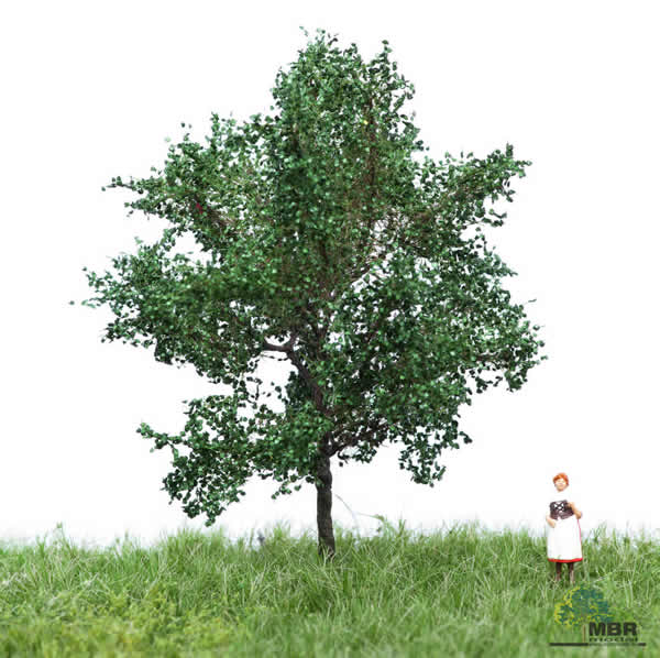MBR 51-2106 - Summer Canadian Poplar Tree