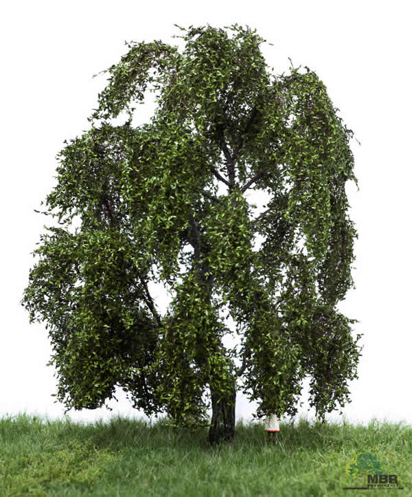MBR 51-2309 - Summer Weeping Willow Tree