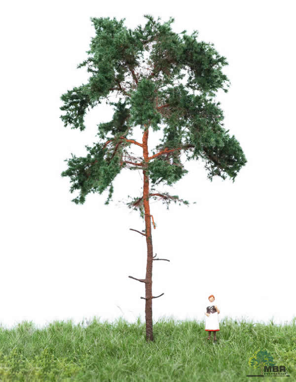 MBR 51-4204 - Summer Pine Tree