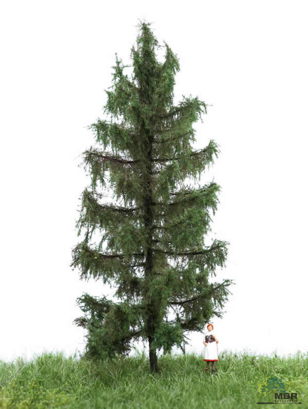 MBR 51-4206 - Summer Spruce Tree