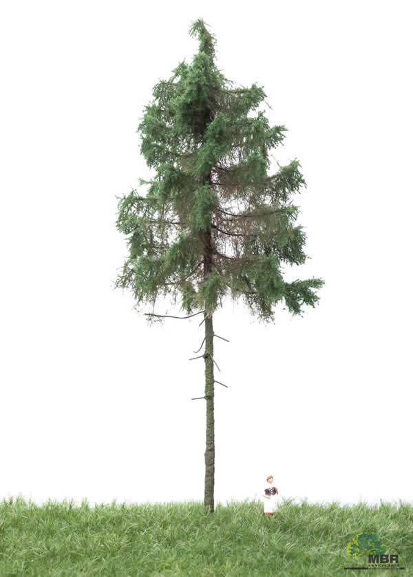 MBR 51-4305 - Summer Forest Spruce Tree