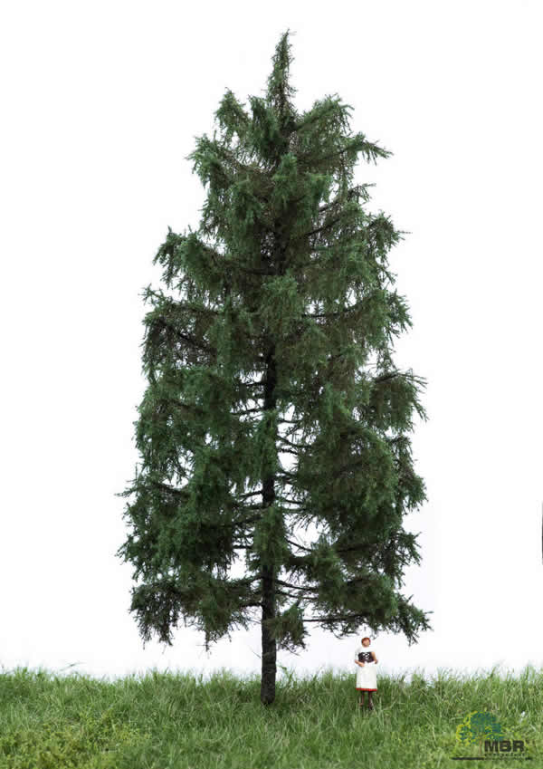 MBR 51-4306 - Summer Spruce Tree