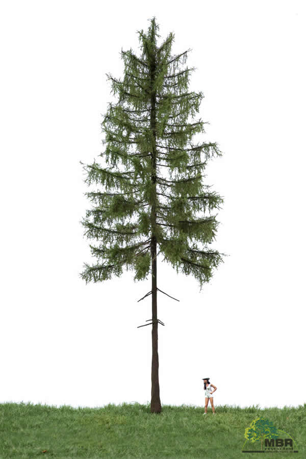 MBR 51-4402 - Summer Forest Larch Tree