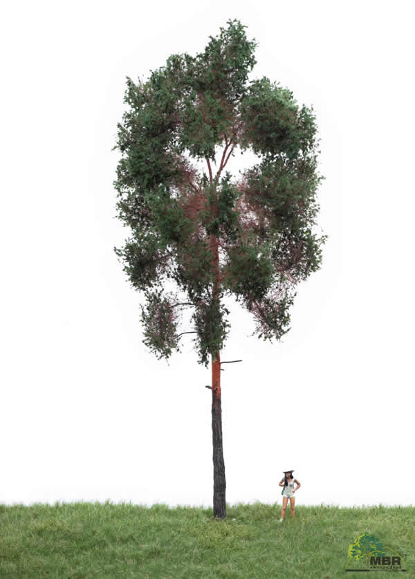 MBR 51-4404 - Summer Pine Tree