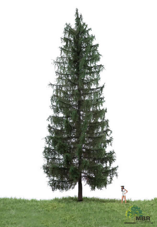 MBR 51-4406 - Summer Spruce Tree
