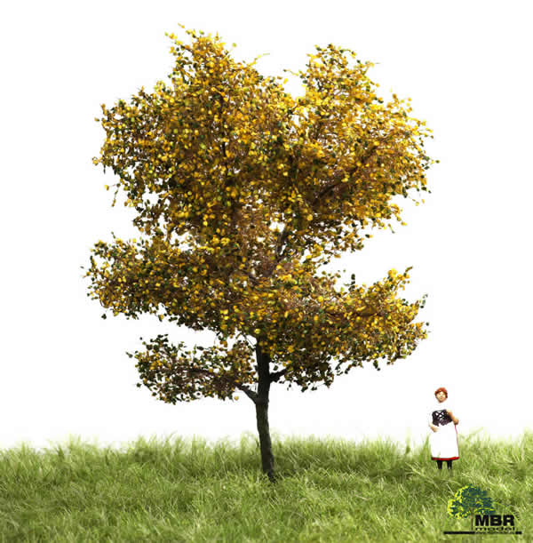 MBR 52-2106 - Autumn Canadian Poplar Tree