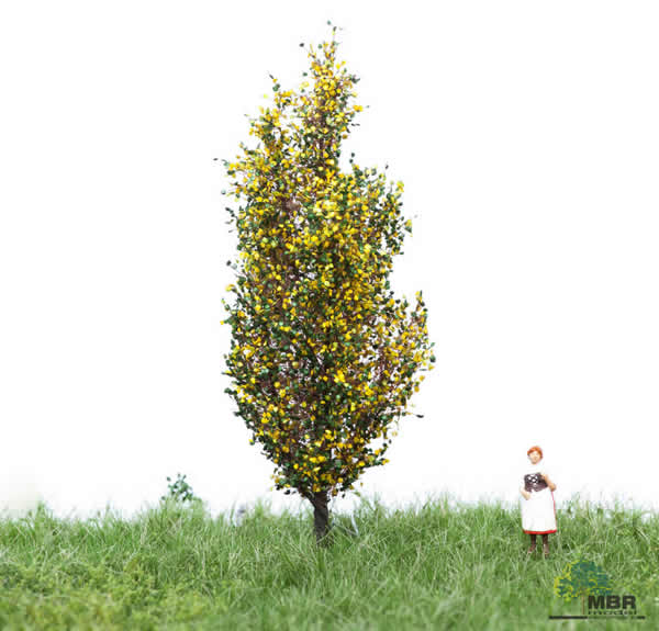 MBR 52-2107 - Autumn Italiam Poplar Tree