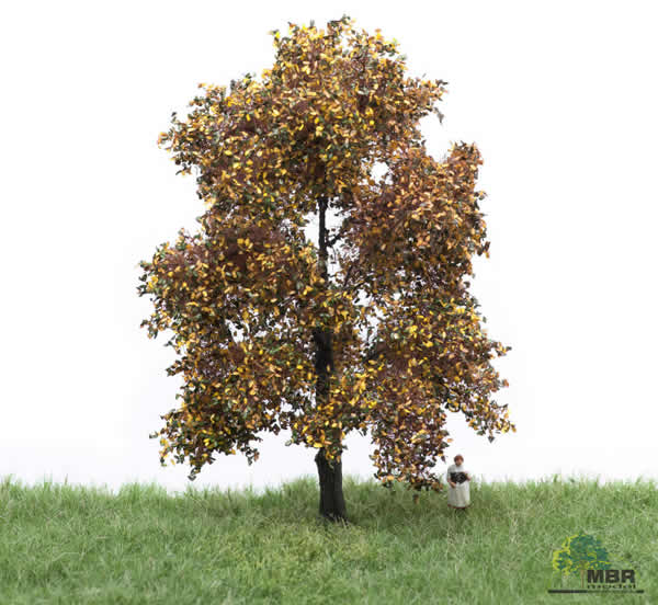 MBR 52-2203 - Autumn Oak Tree