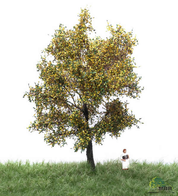 MBR 52-2206 - Autumn Canadian Poplar Tree