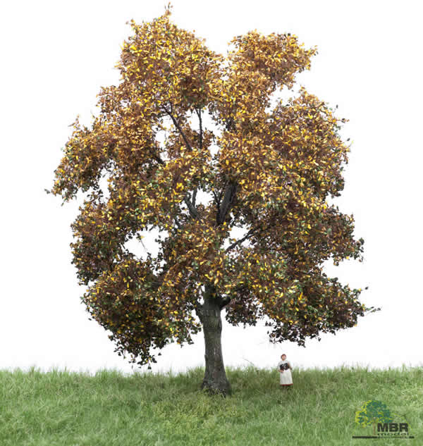 MBR 52-2303 - Autumn Oak Tree