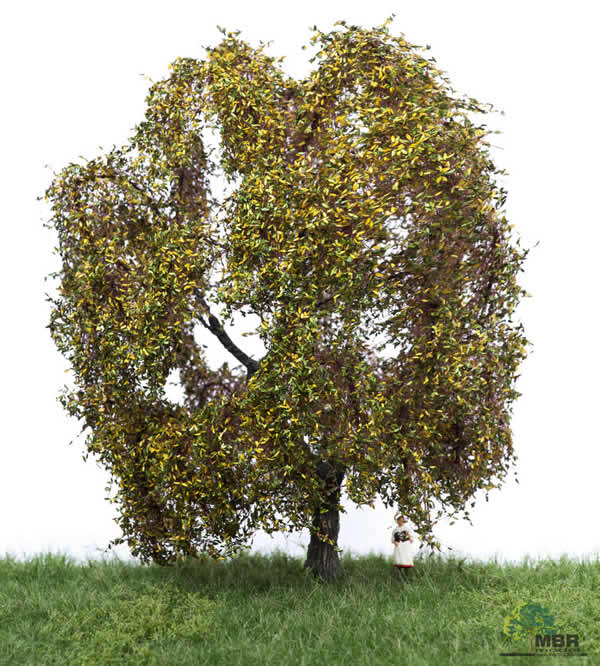 MBR 52-2309 - Authum Weeping Willow Tree