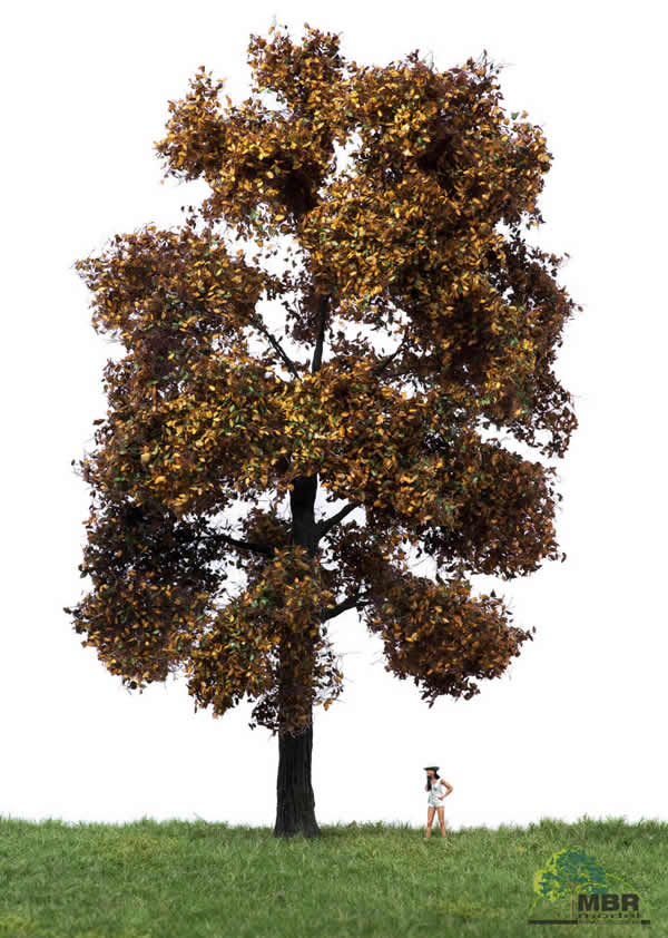 MBR 52-2403 - Autumn Oak Tree