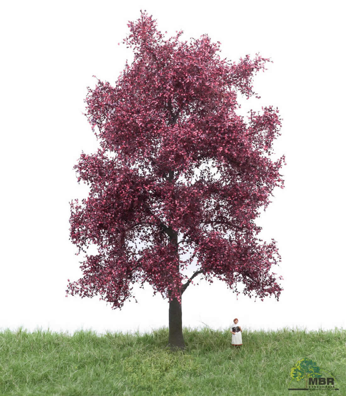 MBR 51-2314 - Tree