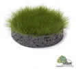 Forest Green Static Grass