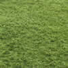 Static Scenic Grass Mat 2-4mm