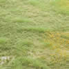 Static Scenic Grass Mat 4-8mm