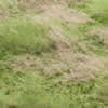 Static Scenic Grass Mat 8-18mm