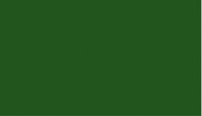 MBZ R60507 - Acrylic Paint Leaves Green