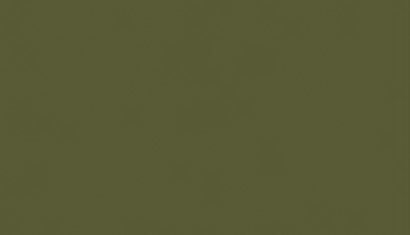 MBZ R60508 - Acrylic Paint Olive Green