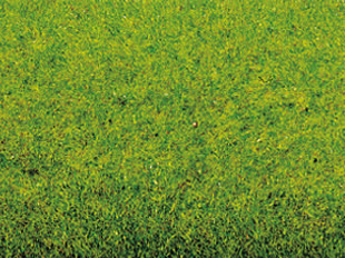 Noch 00010 - Grass Mat Spring Meadow, 200 x 100 cm