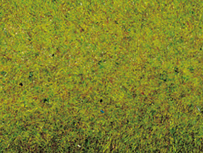 Noch 00012 - Grass Mat Summer Meadow