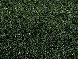 Noch 00230 - Grass Mat, dark green, 120 x 60 cm