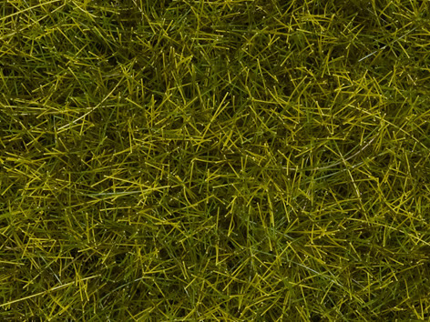 Noch 00402 - Meadow Mat, Meadow, 6 mm