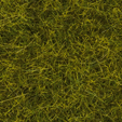 Noch 00412 - Natural Grass Mat Meadow