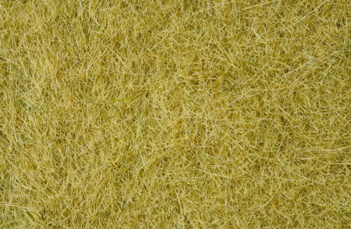 Noch 07091 - Wild Grass, beige, 6 mm